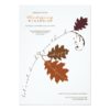 Autumn Branch Thanksgiving Dinner Party Invitation Card
