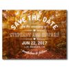 Autumn Forest Save The Date Postcard