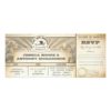 Boarding Pass Wedding Flight Tickets- Invitation Card