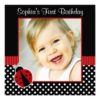 Red Black Ladybug Polka Dot 1St Birthday Photo Square Paper Invitation Card