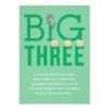 Three Little Pigs Third Birthday Invitation Card