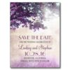 Tree And Love Birds Rustic Vintage Save The Date Postcard