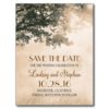 Tree And Love Birds Rustic Vintage Save The Date Postcard