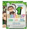 1st Birthday Party Monkey Invitation