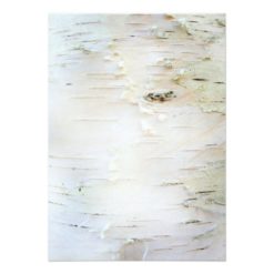Birch tree heart rustic engagement party invites - Image 2