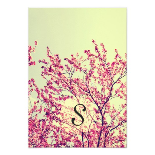 Elegant Cherry Blossoms on Rustic Teal Card - Image 2