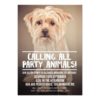 PET DOG'S PARTY PHOTO INVITE