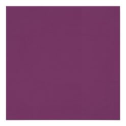 Plum & Nougat Bachelor Party Invitation - Image 2