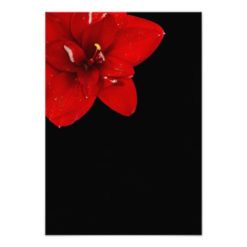 Red Amaryllis and black wedding thank you Card - Image 2