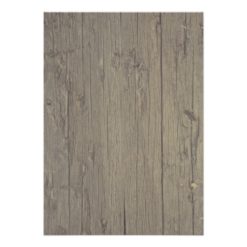 Rustic Country Baby's Breath Engagement Party Card - Image 2