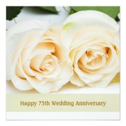 White cream roses