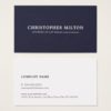 Minimalist Elegant Texture Blue Consultant Business Card