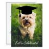 Funny Dog Photo Graduation Party - Use Your Photo Card