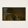 Mushroom cluster on a dead tree business card