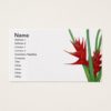 Red Heliconia Watercolour Business Card