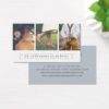 Sheer Stripe | Multi Photo Photographer Business Card